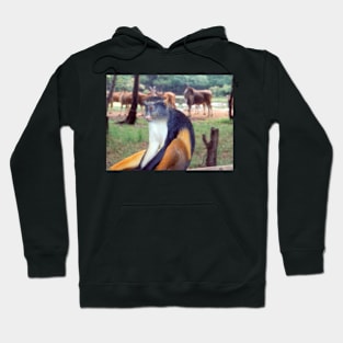 Contemplation #2 Hoodie